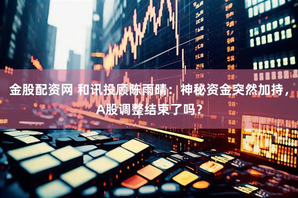 金股配资网 和讯投顾陈雨晴：神秘资金突然加持，A股调整结束了吗？